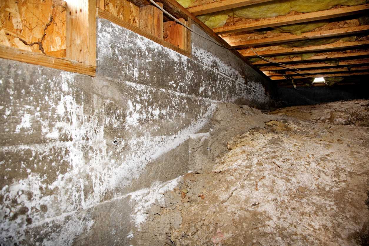 You are currently viewing 5 Ways Moisture Sneaks Into Your Crawlspace