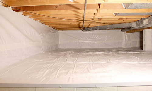 Read more about the article Why Your Crawlspace Deserves More Attention Than You Think
